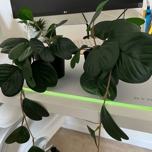IKEA plant decor